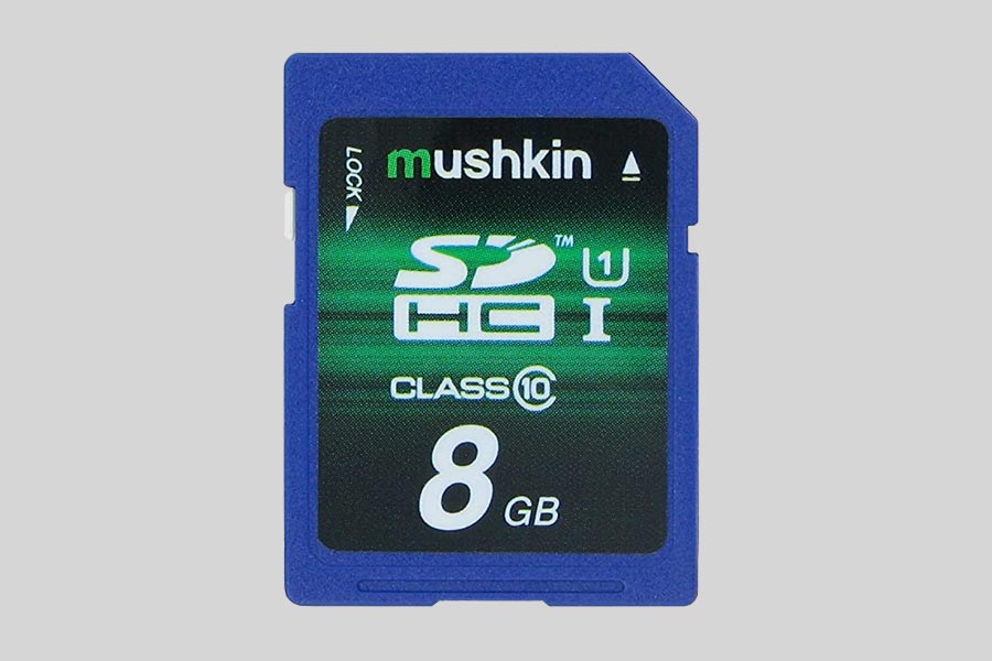 Mushkin Memory Card Data Recovery