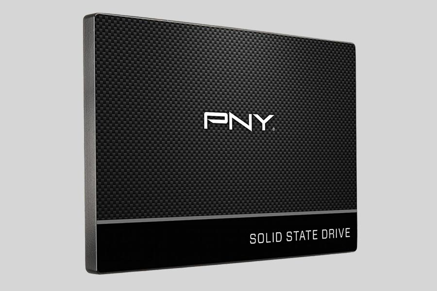 SSD PNY Data Recovery