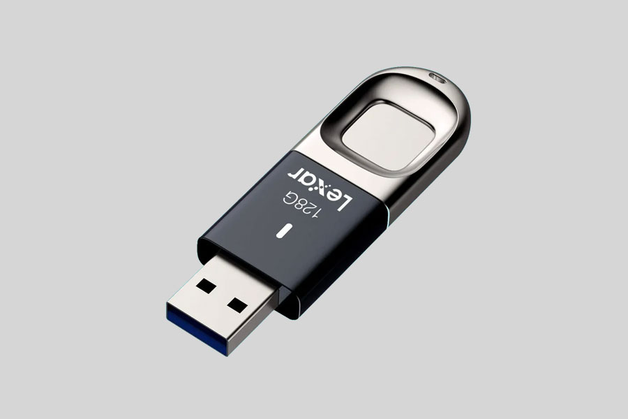 Pink Lizard Flash Drive Data Recovery